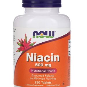 حبوب النياسين ناو فودز 500 مجم Now Foods Niacin