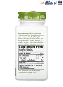 اقراص جنجر Nature'S Way لتحسين صحة الجهاز الهضمي 550 ملجم 180 قرص - Ginger Root مكونات اقراص جنجر Nature'S Way