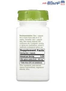 Nature'S Way Vitex Fruit 400 Mg Ingredients