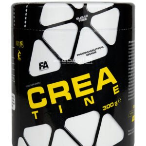 FA creatine supplement pre workout supplement 300 g 60 servings
