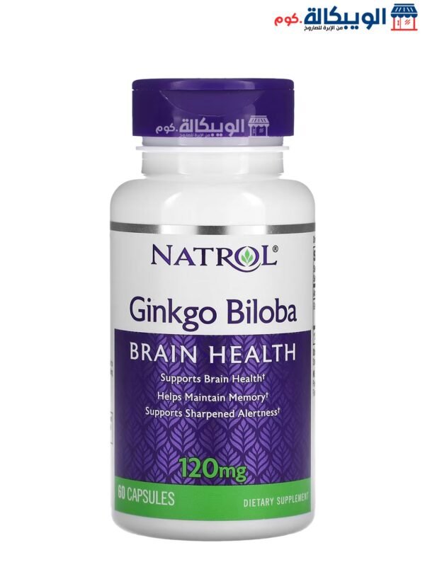 Ginkgo Biloba Memory Booster Capsules 120 Mg 60 Capsules