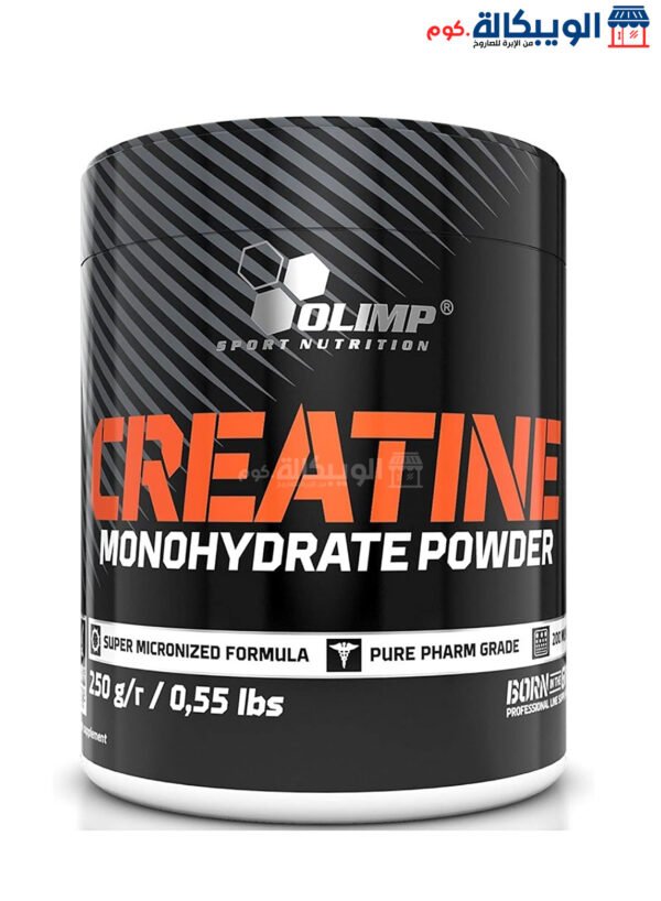 Creatine Monohydrate Powder Supplement