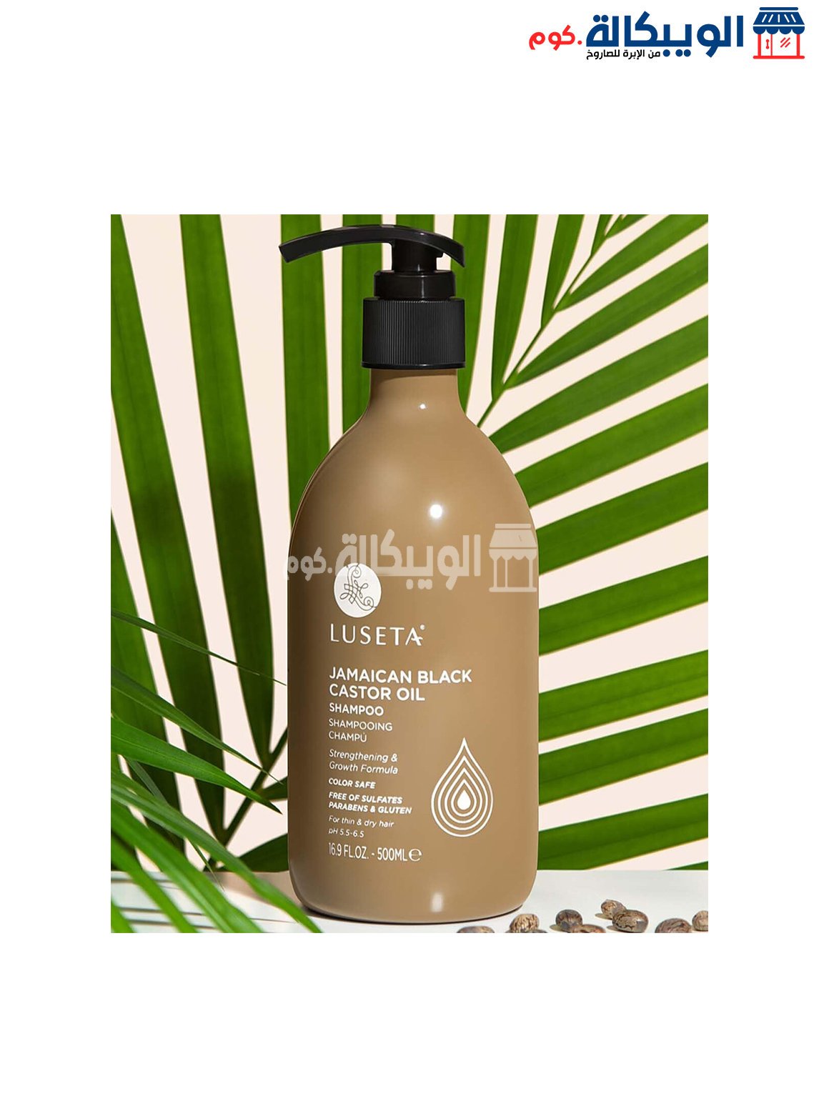 Luseta Shampoo . شامبو لوسيتا بزيت الخروع