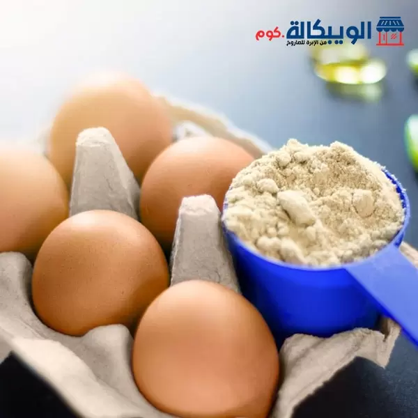 أفضل بودر لزيادة الوزن في مصر