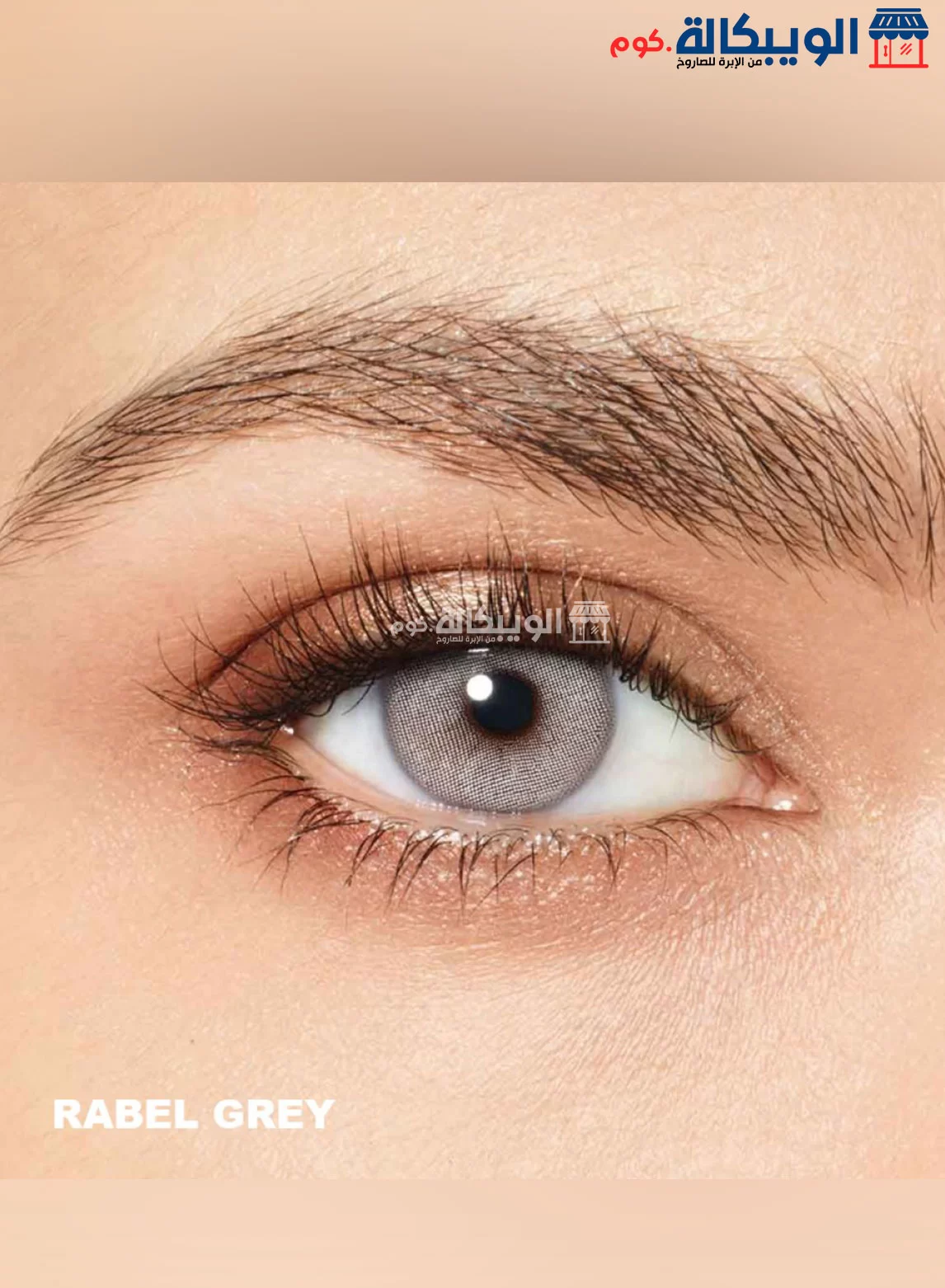  Desio Attitude Lenses One Day Color Lenses Rebel Grey