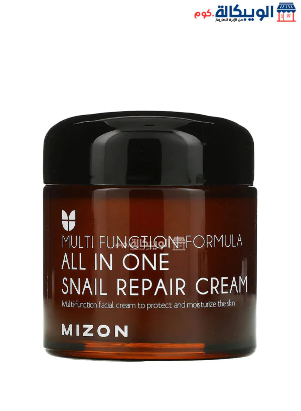 Mizon Snail Repair Cream For Treat Skin 2.53 Fl Oz (75 Ml) 
